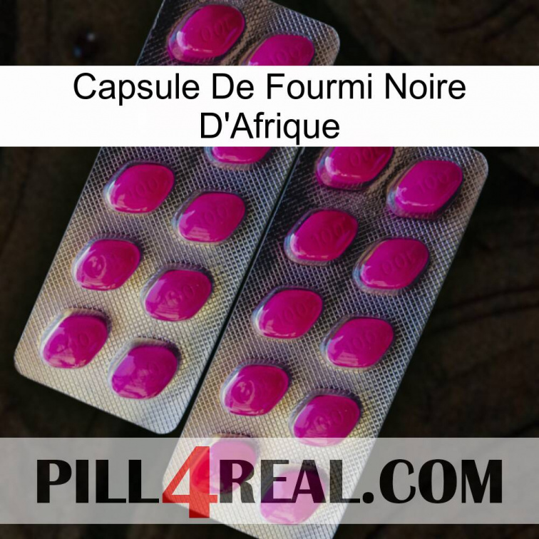 Africa Black Ant Capsule 10